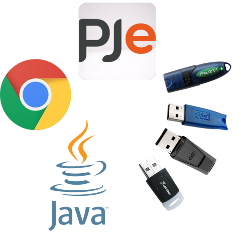 CHROME PJEOFFICE PRO JAVA SEMIOFF